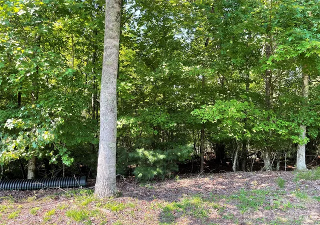 6th image of 0 River Bend Dr #49, Connelly Springs, NC 28612 | MLS# 4414953