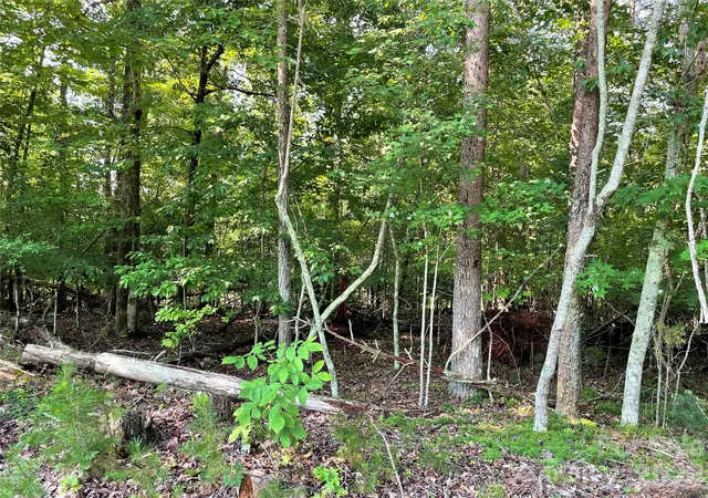 2nd image of 0 River Bend Dr #48, Connelly Springs, NC 28612 | MLS# 4414960