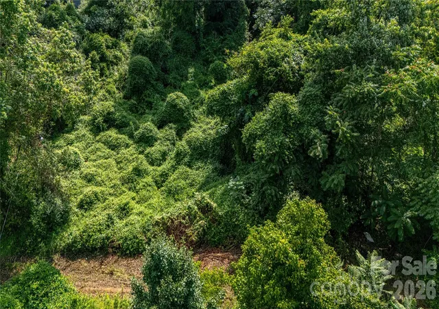 Photo 3 of Sale Pending at 133 Brickyard Rd, Asheville, NC 28806 | MLS# 4414988 | Listing updated on 2026-09-03