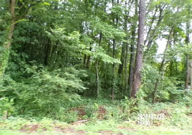 17th image of 0 Larch Rd #28, Salisbury, NC 28147 | MLS# 4414992
