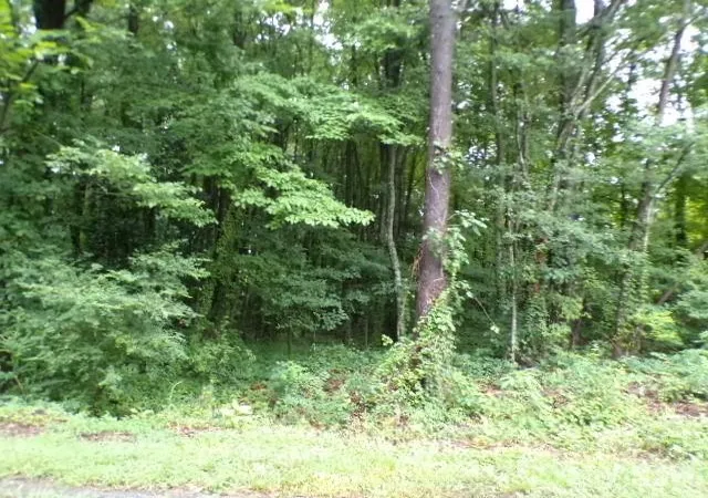 Photo 3 of Land for sale at 0 Larch Rd #28, Salisbury, NC 28147 | MLS# 4414992 | Listing updated on 2026-09-18