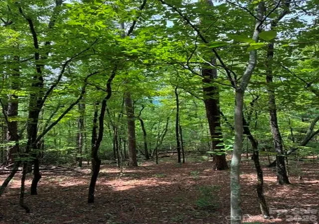 2nd image of Lot 32 Justice Dr #32, Lake Lure, NC 28746 | MLS# 4415014