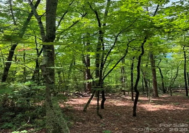 3rd image of Lot 32 Justice Dr #32, Lake Lure, NC 28746 | MLS# 4415014