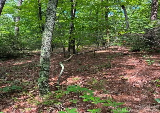 4th image of Lot 32 Justice Dr #32, Lake Lure, NC 28746 | MLS# 4415014