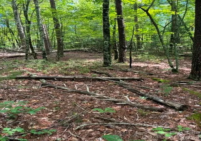 5th image of Lot 32 Justice Dr #32, Lake Lure, NC 28746 | MLS# 4415014