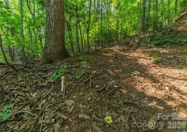 Photo 3 of Land for sale at 99999 Claru Ridge, Fletcher, NC 28732 | MLS# 4415089 | Listing updated on 2026-08-30