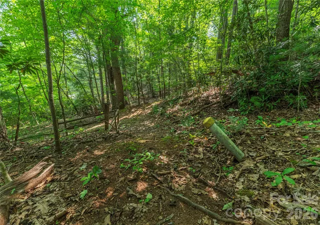 Photo 4 of Land for sale at 99999 Claru Ridge, Fletcher, NC 28732 | MLS# 4415089 | Listing updated on 2026-08-30