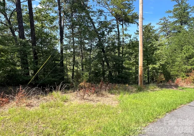 4th image of 0 Brighton Dr #226, Bostic, NC 28018 | MLS# 4415113