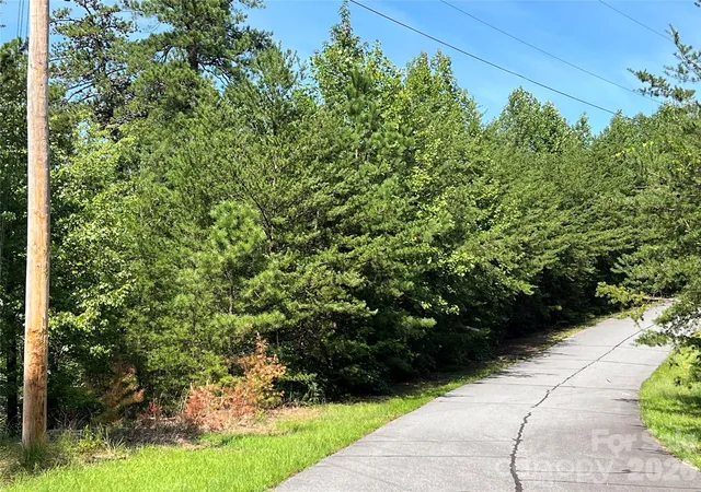 5th image of 0 Brighton Dr #226, Bostic, NC 28018 | MLS# 4415113