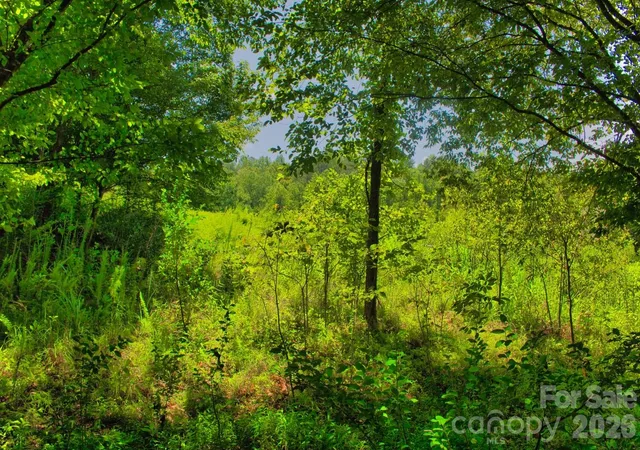 3rd image of 0 Clearwater Pkwy #238, Rutherfordton, NC 28139 | MLS# 4415238