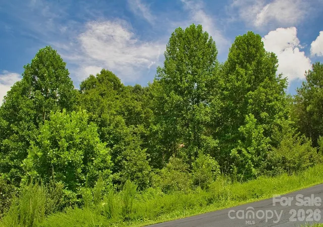 4th image of 0 Clearwater Pkwy #238, Rutherfordton, NC 28139 | MLS# 4415238