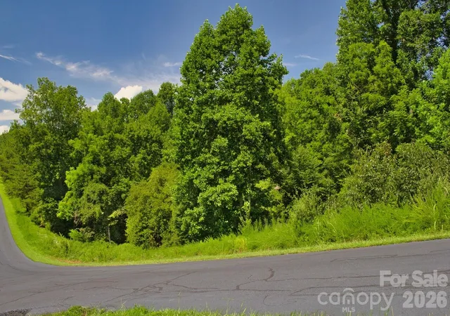 5th image of 0 Clearwater Pkwy #238, Rutherfordton, NC 28139 | MLS# 4415238