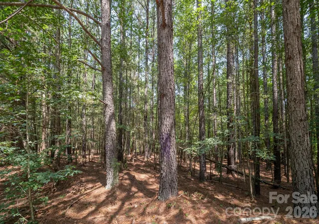 Photo 27 of Land for sale at 0 Riverbluff Ln, Lilesville, NC 28091 | MLS# 4415251 | Listing updated on 2026-08-16