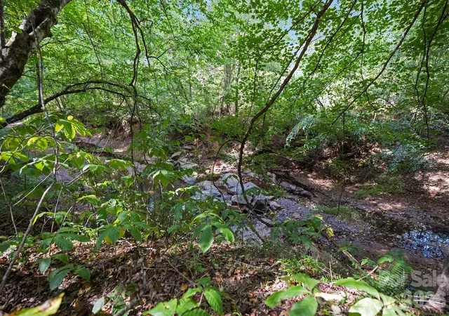 Photo 3 of Land for sale at 630 Turkey Crk Ridge Rd, York, SC 29745 | MLS# 4415324 | Listing updated on 2026-09-16
