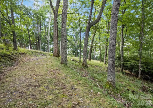 3rd image of 000 Wagon Trail Rd, Maggie Valley, NC 28751 | MLS# 4415343