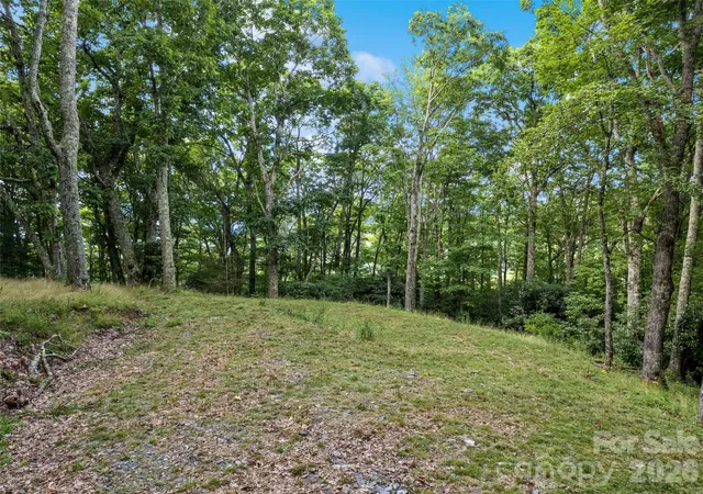 5th image of 000 Wagon Trail Rd, Maggie Valley, NC 28751 | MLS# 4415343