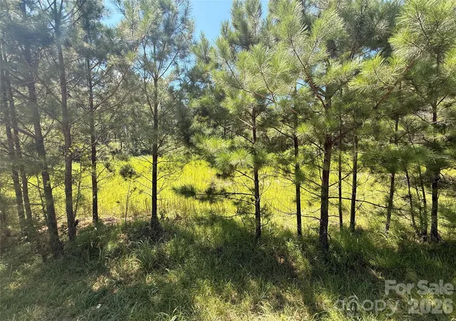 4th image of 3273 Lizzie Melton Rd, Chester, SC 29706 | MLS# 4415368