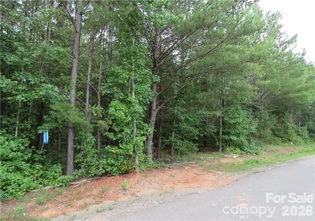 2nd image of Tbd Agnes Douglas Rd, Indian Land, SC 29707 | MLS# 4415378