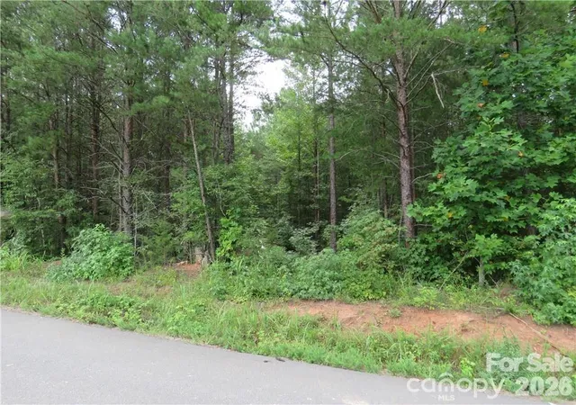 5th image of Tbd Agnes Douglas Rd, Indian Land, SC 29707 | MLS# 4415378