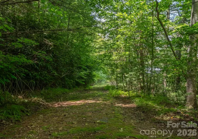 2nd image of 0 Hebron Rd, Hendersonville, NC 28739 | MLS# 4415391