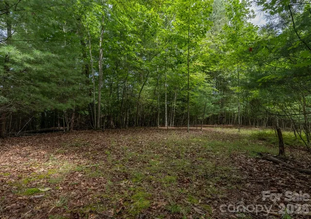 3rd image of 0 Hebron Rd, Hendersonville, NC 28739 | MLS# 4415391