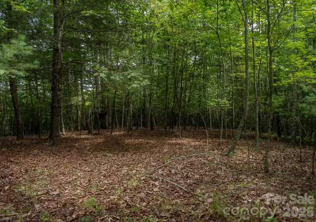 4th image of 0 Hebron Rd, Hendersonville, NC 28739 | MLS# 4415391