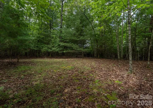 5th image of 0 Hebron Rd, Hendersonville, NC 28739 | MLS# 4415391