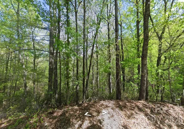 1st image of 0 Buzzards Pl, Lake Lure, NC 28746 | MLS# 4415392