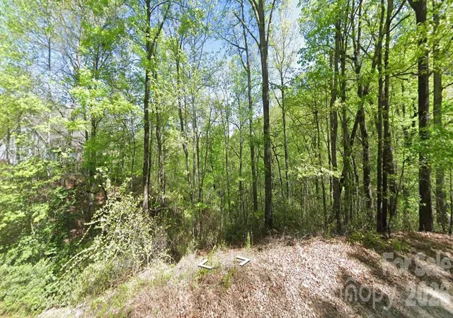 2nd image of 0 Buzzards Pl, Lake Lure, NC 28746 | MLS# 4415392