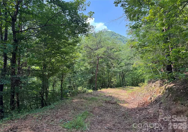 Photo 3 of Land for sale at 6080 River Rd, Hot Springs, NC 28743 | MLS# 4415431 | Listing updated on 2026-09-21