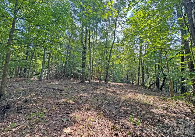 Photo 4 of Land for sale at 6080 River Rd, Hot Springs, NC 28743 | MLS# 4415431 | Listing updated on 2026-08-17