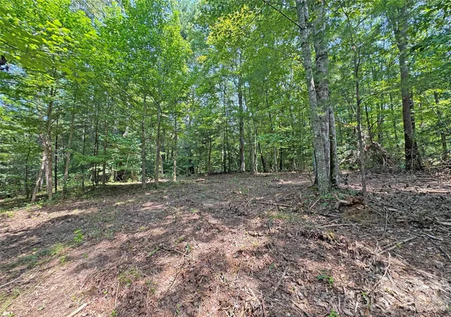 Photo 5 of Land for sale at 6080 River Rd, Hot Springs, NC 28743 | MLS# 4415431 | Listing updated on 2026-08-17