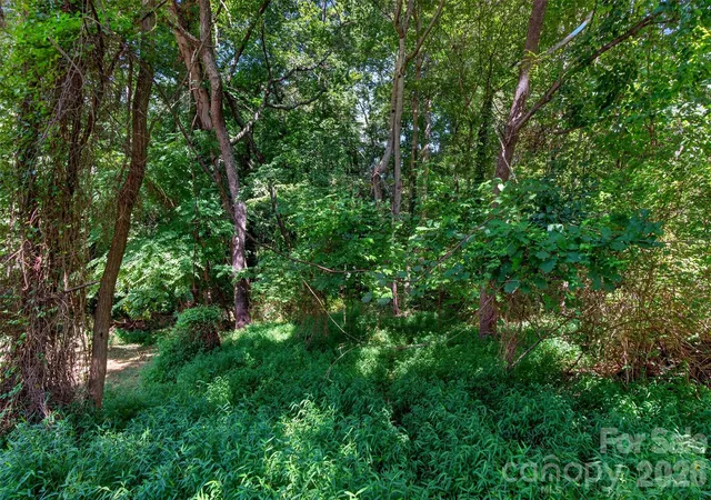 Photo 3 of Single family home for sale at 21 Maple Ave, Candler, NC 28715 | MLS# 4415458 | Listing updated on 2026-09-30