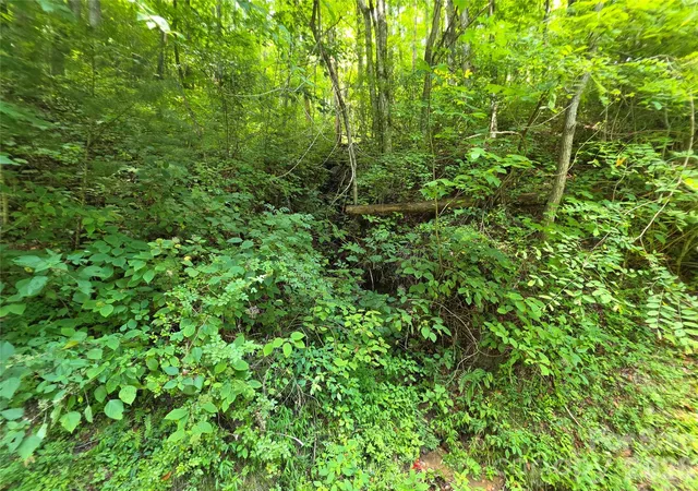 Photo 16 of Land for sale at Lot 17 Cocker Spaniel Ct #17, Whittier, NC 28789 | MLS# 4415482 | Listing updated on 2026-08-17