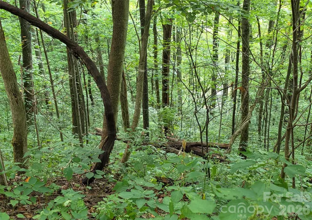 Photo 2 of Land for sale at Lot 17 Cocker Spaniel Ct #17, Whittier, NC 28789 | MLS# 4415482 | Listing updated on 2026-08-17