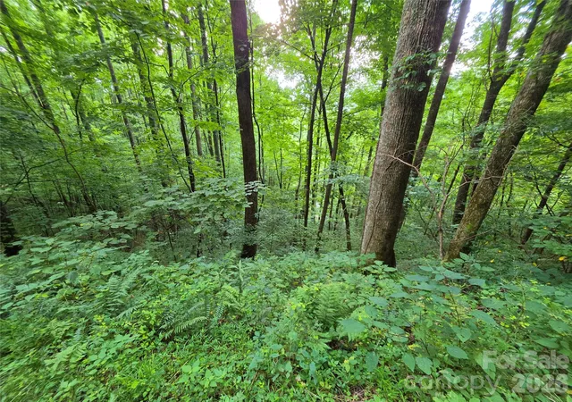 Photo 3 of Land for sale at Lot 17 Cocker Spaniel Ct #17, Whittier, NC 28789 | MLS# 4415482 | Listing updated on 2026-08-17