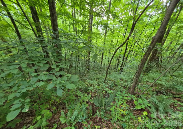 Photo 4 of Land for sale at Lot 17 Cocker Spaniel Ct #17, Whittier, NC 28789 | MLS# 4415482 | Listing updated on 2026-08-17