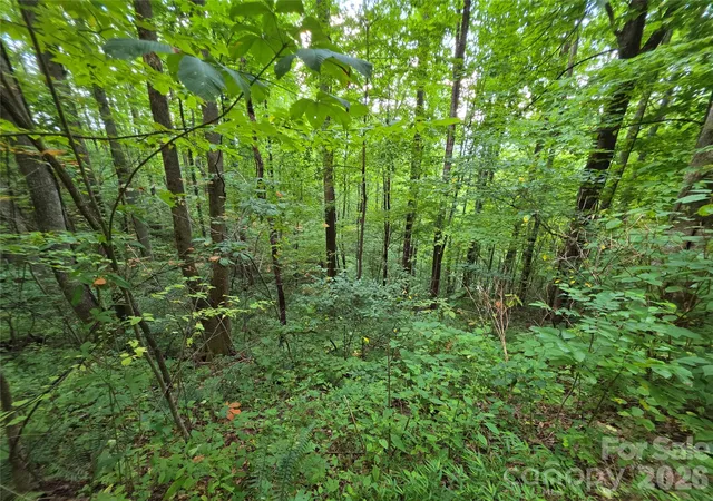 Photo 5 of Land for sale at Lot 17 Cocker Spaniel Ct #17, Whittier, NC 28789 | MLS# 4415482 | Listing updated on 2026-08-17