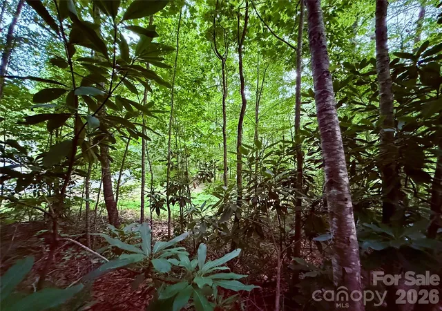 Photo 2 of Land for sale at Tbd Pkwy View Ln #L1, Penrose, NC 28766 | MLS# 4415618 | Listing updated on 2026-08-19