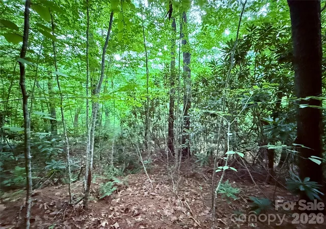 Photo 3 of Land for sale at Tbd Pkwy View Ln #L1, Penrose, NC 28766 | MLS# 4415618 | Listing updated on 2026-08-19