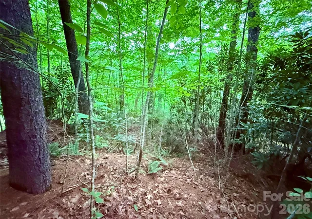 Photo 4 of Land for sale at Tbd Pkwy View Ln #L1, Penrose, NC 28766 | MLS# 4415618 | Listing updated on 2026-08-19
