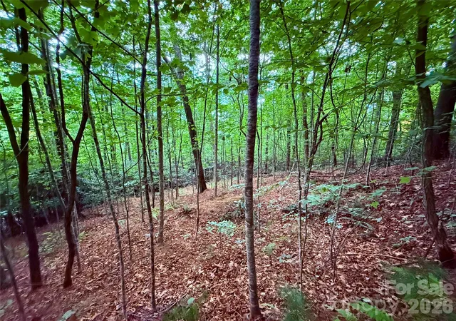 Photo 5 of Land for sale at Tbd Pkwy View Ln #L1, Penrose, NC 28766 | MLS# 4415618 | Listing updated on 2026-08-19