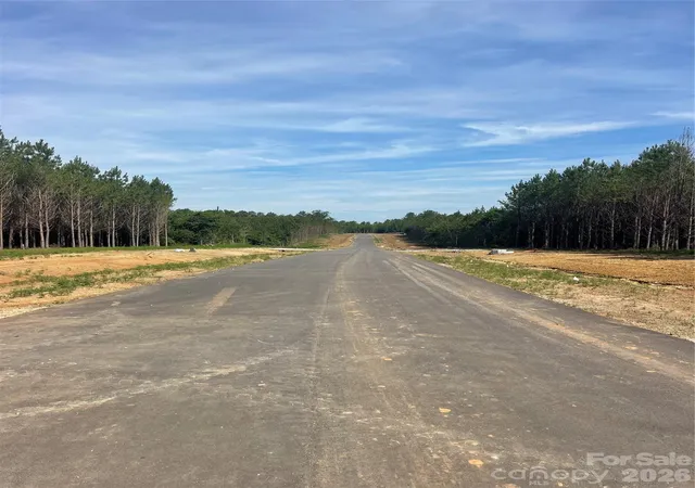 Photo 3 of Land for sale at 818 Everwood Dr, Mc Connells, SC 29726 | MLS# 4415633 | Listing updated on 2026-08-19