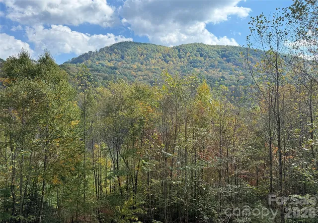 Photo 3 of Single family home for sale at 62 Pine Hill Dr, Brevard, NC 28712 | MLS# 4415644 | Listing updated on 2026-10-21