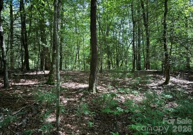 Photo 1 of Land for sale at Tbd Blossom Rd, Brevard, NC 28712 | MLS# 4415798 | Listing updated on 2026-08-18