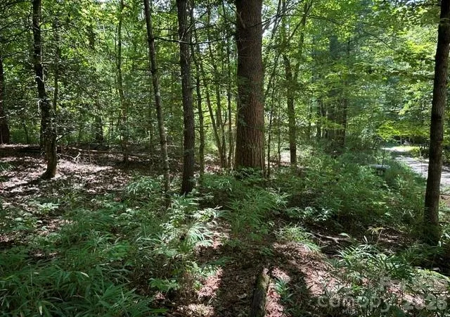 Photo 2 of Land for sale at Tbd Blossom Rd, Brevard, NC 28712 | MLS# 4415798 | Listing updated on 2026-08-18