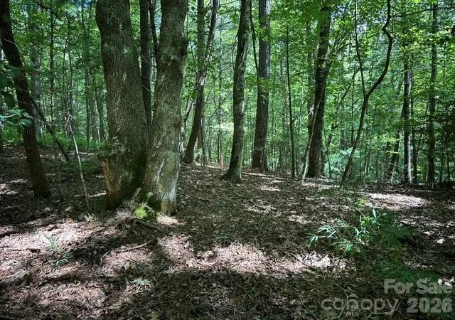 Photo 3 of Land for sale at Tbd Blossom Rd, Brevard, NC 28712 | MLS# 4415798 | Listing updated on 2026-08-18