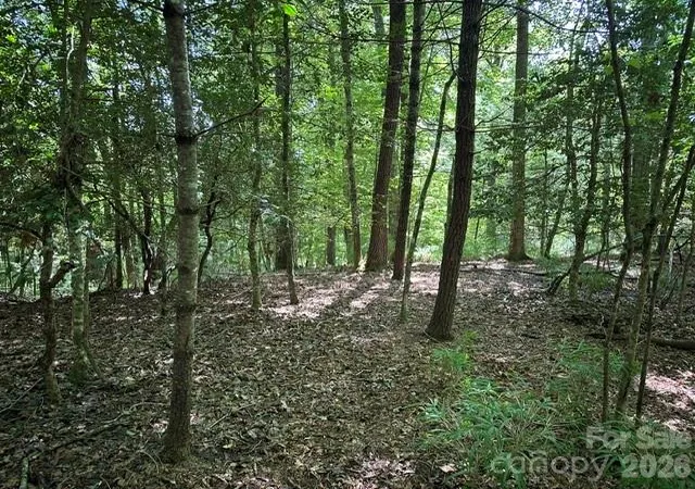 Photo 4 of Land for sale at Tbd Blossom Rd, Brevard, NC 28712 | MLS# 4415798 | Listing updated on 2026-08-18
