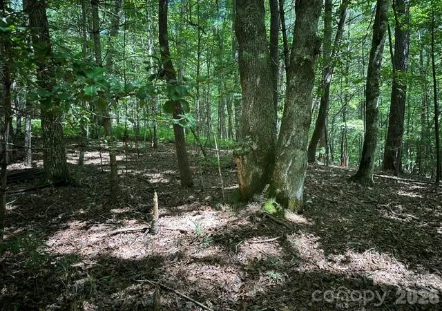 Photo 5 of Land for sale at Tbd Blossom Rd, Brevard, NC 28712 | MLS# 4415798 | Listing updated on 2026-08-18