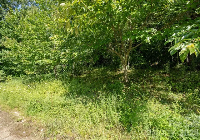 Photo 12 of Land for sale at Tbd Whitewater Rd, Sapphire, NC 28774 | MLS# 4415813 | Listing updated on 2026-08-18